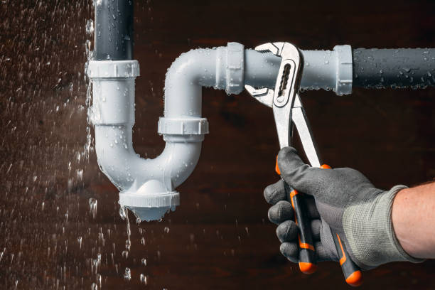 Professional Plumbing technician working in Courtland, AL